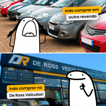 DE ROSS - FEED (2) indo comprar